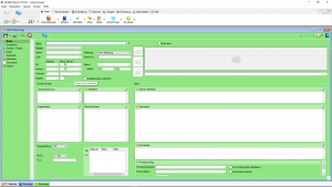 Eingabemaske Artikel